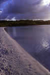 Lake McKenzie, Fraser Island at dawn - click to enlarge