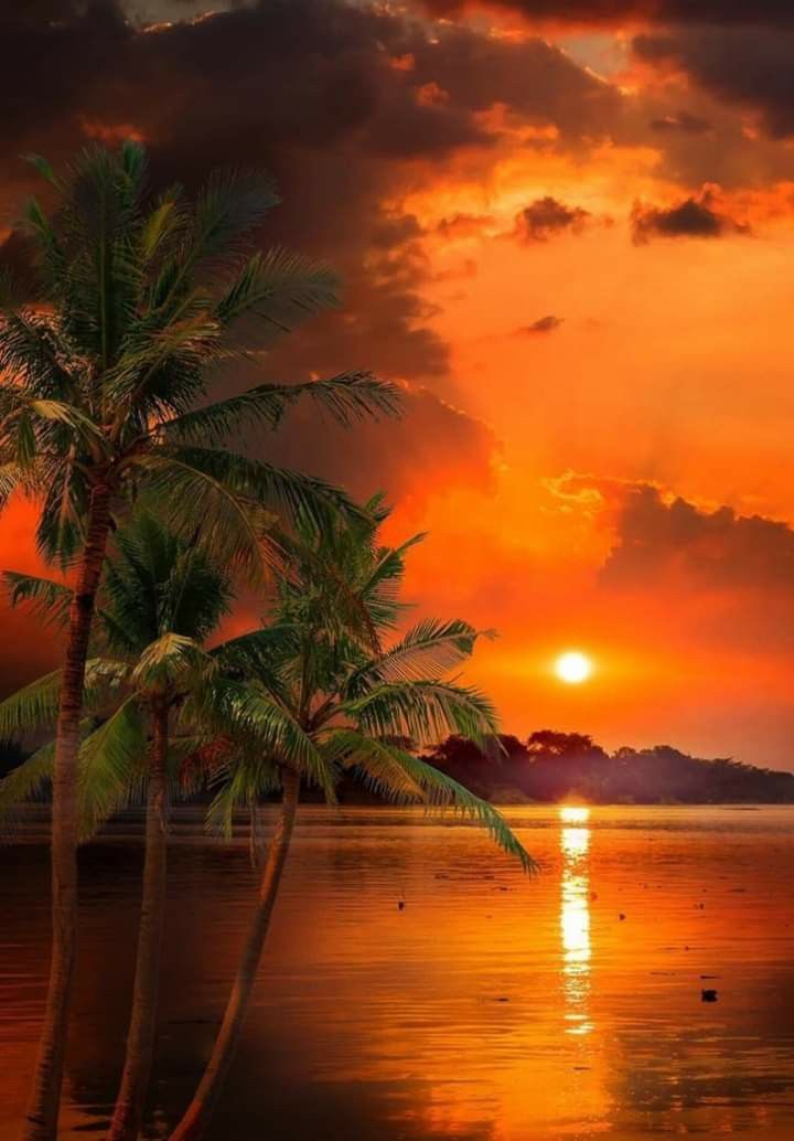 Sunset, Whitsunday Islands - click to enlarge